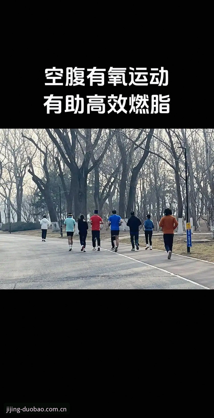 多宝体育最新版下载 多宝体育最新版下载完整指南:从安装到实战,一步到位